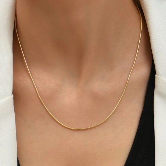 2pc Thin Snake Necklace Set - Picture 4 of 5